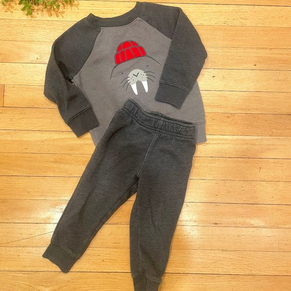 Cat & Jack Other - 2/$10 Sale! Cat & Jack Walrus Sweat Suit Set Size 2T